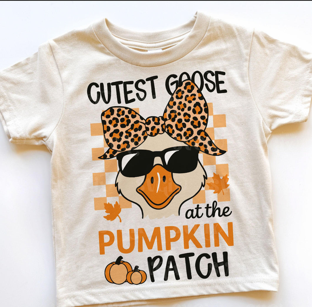 Gourd-geous Goose